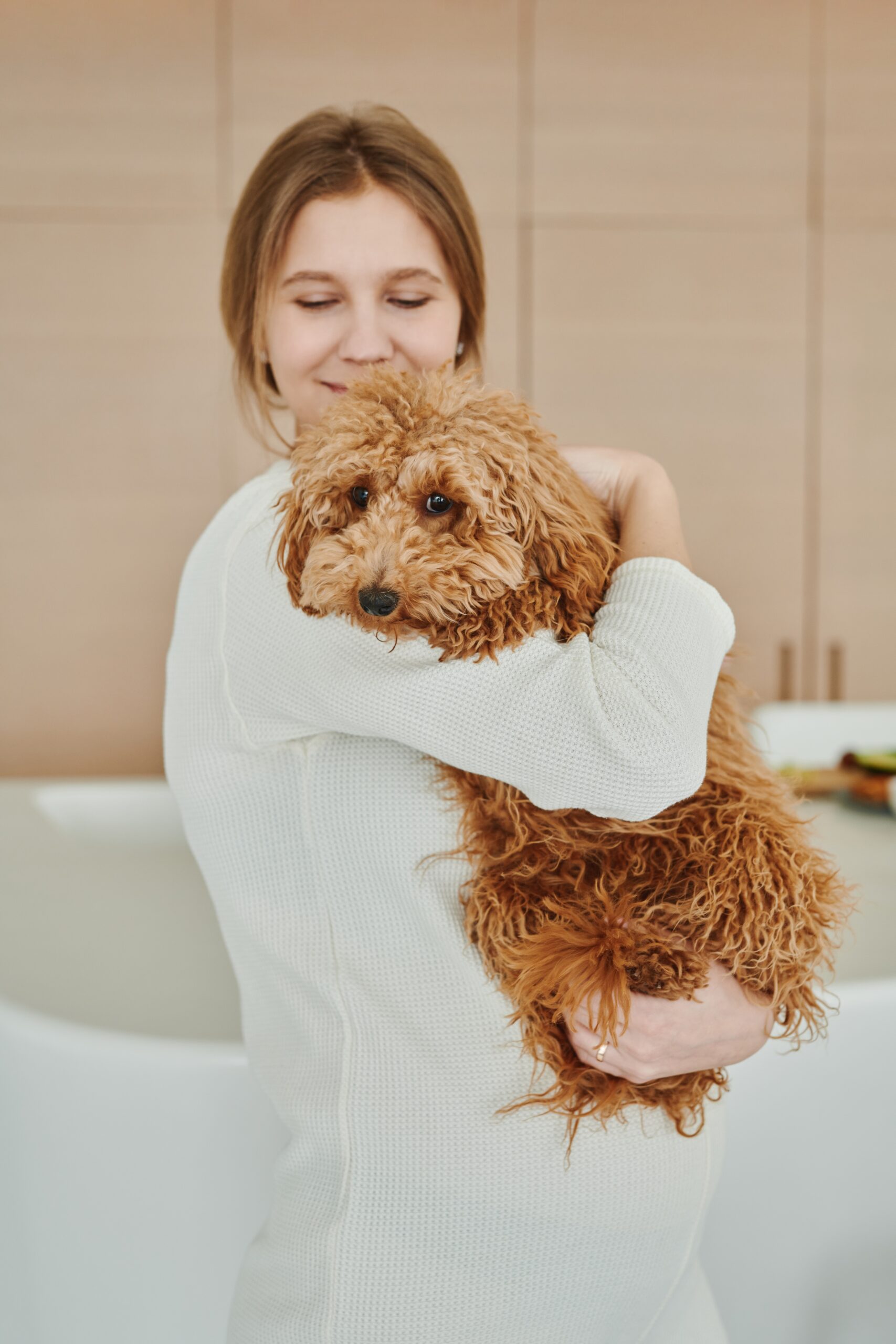 15-tip-to-care-for-your-pregnant-dog-pet-forests